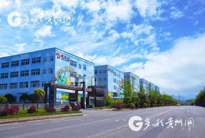 电商凯歌，凯歌电子商务