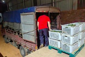 珠宝电商库房图片；珠宝电商库房图片大全