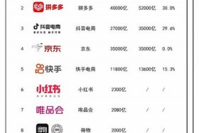 电商亿级，千亿级电商平台