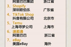 电商平台各行业排行榜前十名；电商平台各行业排行榜前十名有哪些