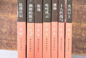 林行电商；林行小说