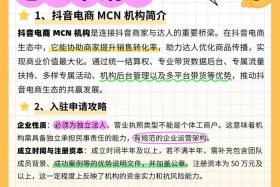 电商加入抖音、电商加入抖音的条件