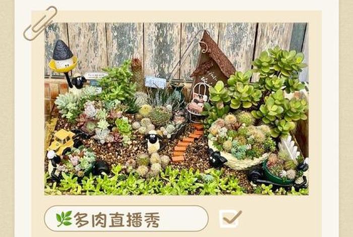 跨境电商园艺产品包括什么;跨境电商园艺产品包括什么类目 跨境电商园艺产品包括什么;跨境电商园艺产品包括什么类目