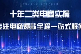 啥叫二类电商；啥叫二类电商产品