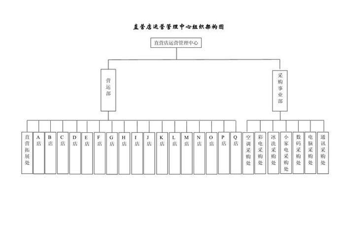 电商运营团队店铺管理；电商运营团队组织架构