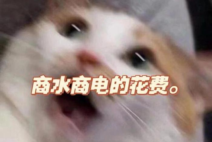 商水商电一个月300够了吗 - 商水商电 一个月 商水商电一个月300够了吗 - 商水商电 一个月