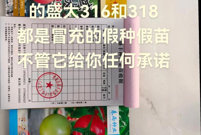 网上假苗最多是什么地方 网上假苗最多是什么地方的 网上假苗最多是什么地方 网上假苗最多是什么地方的