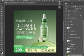 电商ps是什么意思，电商ps是什么意思啊