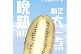 猕猴桃电商营销方案，猕猴桃电商营销方案设计