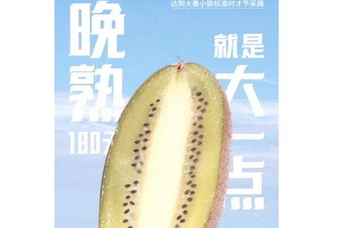 猕猴桃电商营销方案，猕猴桃电商营销方案设计