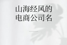 电商公司名字大全未被注册的 - 电商公司名字大全未被注册的有哪些