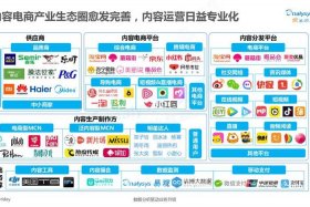 电商内容ip 电商内容化
