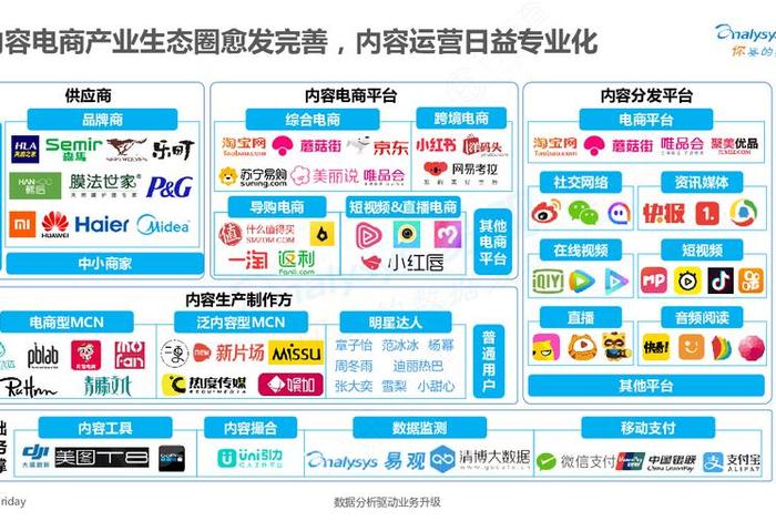 电商内容ip 电商内容化