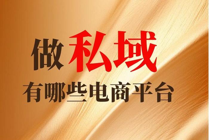 电商私域玩法 - 私域直营电商