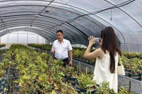 岚皋电商 - 岚皋电商做的好的