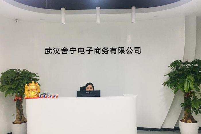 武汉有哪些电商平台 武汉有哪些电商平台公司 武汉有哪些电商平台 武汉有哪些电商平台公司