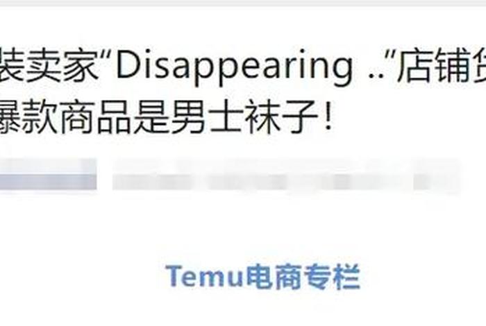 temu跨境电商服装（temu跨境电商服装店铺名字）