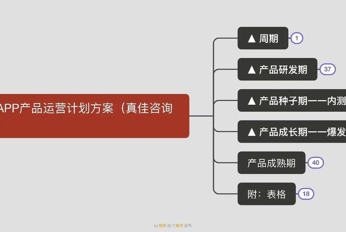 电商平台运营方案 电商平台运营方案计划