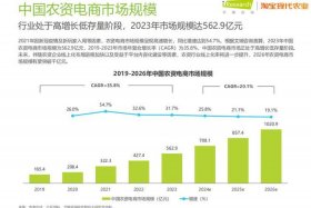农业电商平台的可行性分析 发展农业电商的可行性
