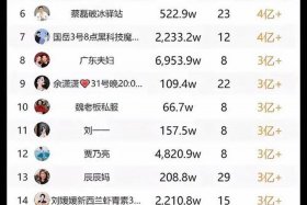 电商排行榜前十名个人，电商排行榜前十名2020