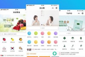 微信电商小程序公司、微信电商小程序公司有哪些