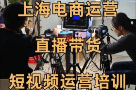 抖音电商直播带货运营课程培训、网络营销 抖音直播带货运营培训