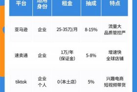 个人做跨境电商选哪个平台好、个人做跨境电商选哪个平台好一点