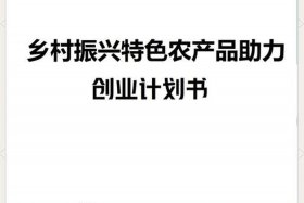 农村电商发展项目商业计划书 农村电商发展项目商业计划书怎么写
