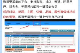 电商平台信息收集怎么做、作为电商怎么采集数据