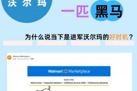 walmart是什么平台，walmart平台怎么样