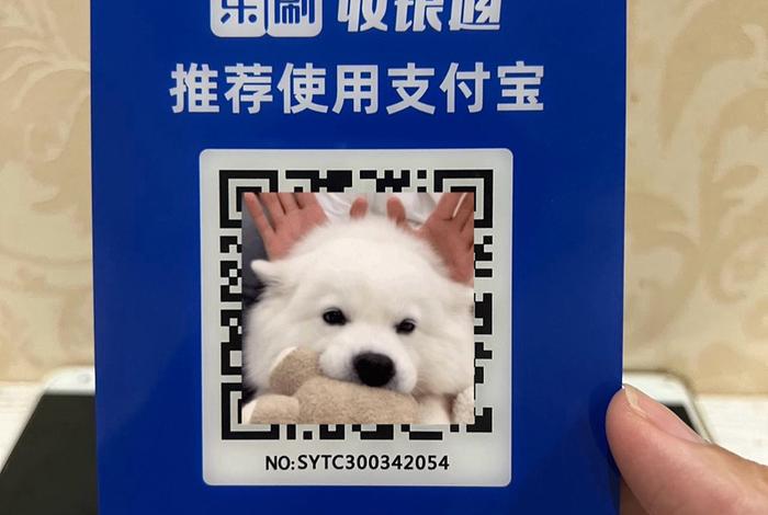 跨境电商收款工具是什么,跨境电商收款工具是什么意思 跨境电商收款工具是什么,跨境电商收款工具是什么意思