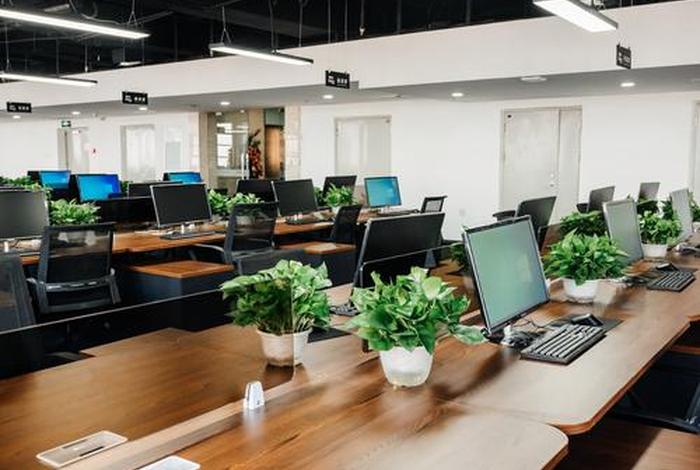 智电商公司、智的电子商务有限公司 智电商公司、智的电子商务有限公司