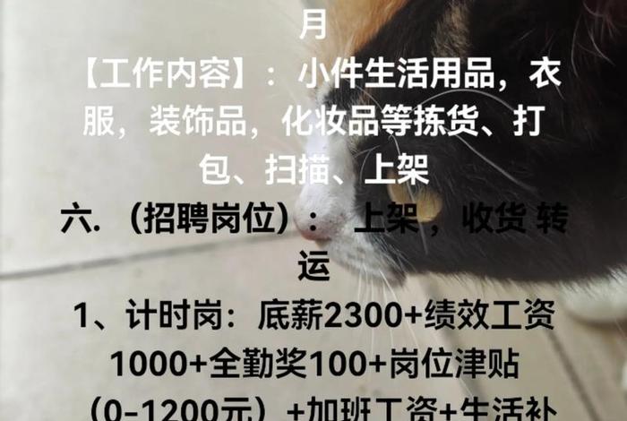 网红电商招聘（网红电商仓库招聘是真的吗）