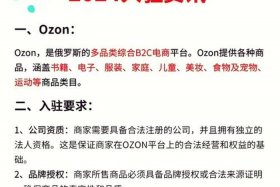 ozon中国卖家如何入驻、ozon中国卖家如何入驻开店代理服务公司