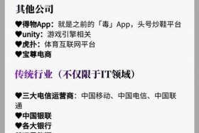 上海十大电商公司排名榜（上海十大电商公司排名榜单）