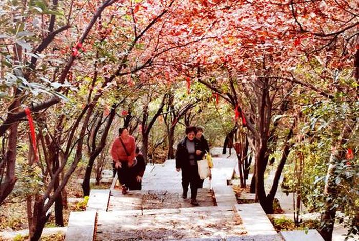 溪月山跨境电商 - 月山溪云