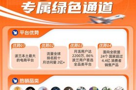 波兰电商平台有哪些；波兰电商平台有哪些公司
