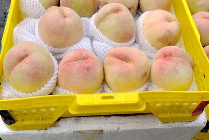 七桃电商可靠吗,七桃电商可靠吗怎么样 七桃电商可靠吗,七桃电商可靠吗怎么样