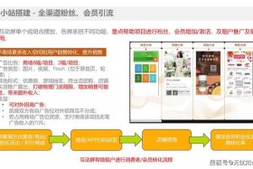 如何运营电商渠道服务；如何运营电商渠道服务平台