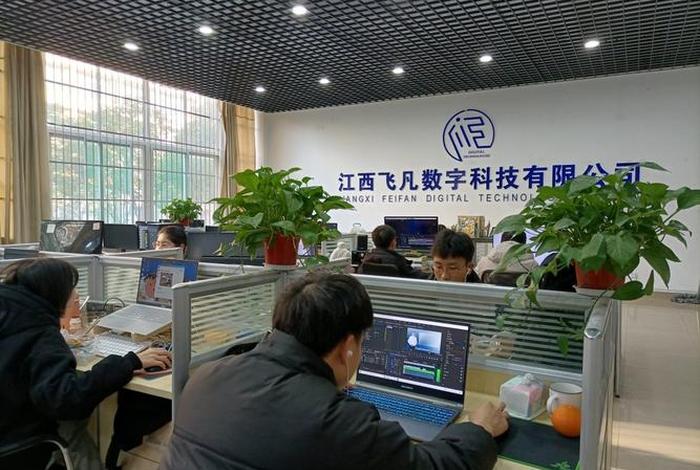 飞凡电子科技有限公司 飞凡电子科技有限公司怎么样 飞凡电子科技有限公司 飞凡电子科技有限公司怎么样