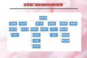 电商公司组织架构图模板，电商公司组织架构图模板图片