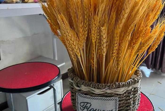 大麦电商靠谱吗;大麦电商做单安全吗 大麦电商靠谱吗;大麦电商做单安全吗