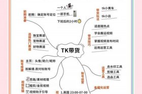 titok跨境电商回款；tiktok跨境电商解决方案