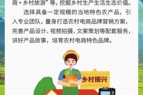 农业电商平台如何取名 农业电商平台名字大全