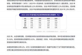 国际电商平台供应商、国际电商平台供应商是什么