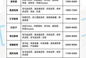 学做跨境电商学费多少钱（学做跨境电商学费多少钱一个月）
