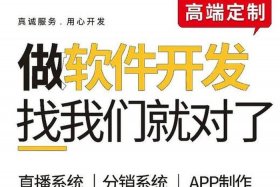 电商平台开发定制、电商平台开发定制方案