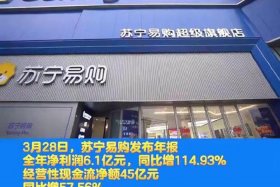 电商巨头苏宁的陨落 - 苏宁电商平台