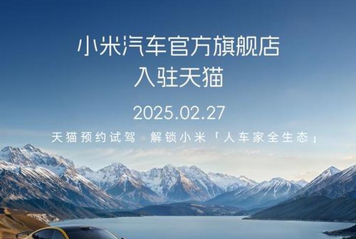 电商官方旗舰店 电商官方旗舰店有哪些