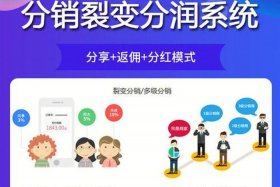 电商直销模式的流程是什么 电商直销模式的流程是什么样的